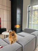 Ahi Cebud PPA 500 NL 78 45x78x45 4