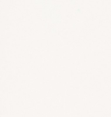 Caesarstone Kvarts 1141 Pure White Slab 1