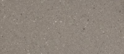 Caesarstone Kvarts 4230 Shitake Slab 3