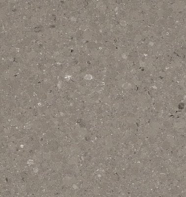 Caesarstone Kvarts 4230 Shitake Slab 4