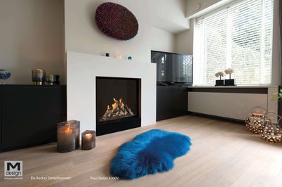 M-Design-gaasikamin-True-Vision-1000V-inter.jpg